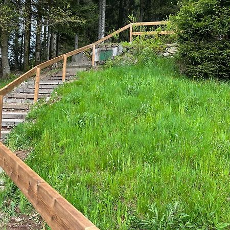 Charmant Chalet Cosy & Paisible En Pleine Nature - Refuge Idyllique Pour 5P Gérardmer Εξωτερικό φωτογραφία
