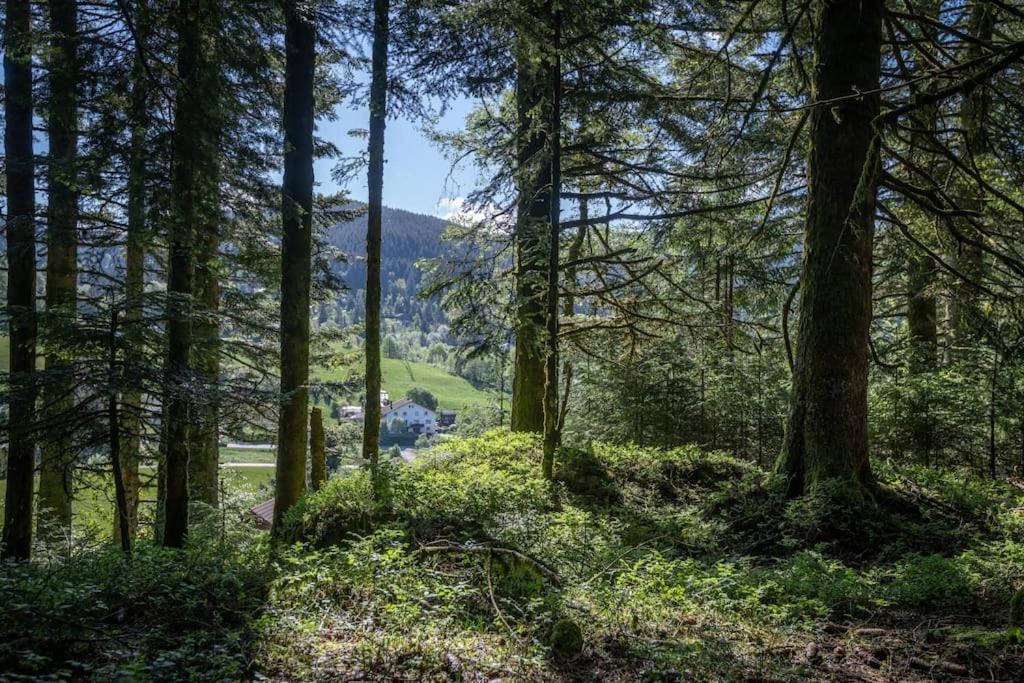 Charmant Chalet Cosy & Paisible En Pleine Nature - Refuge Idyllique Pour 5P Gérardmer Εξωτερικό φωτογραφία