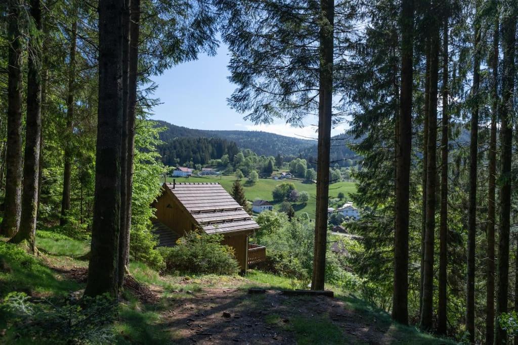 Charmant Chalet Cosy & Paisible En Pleine Nature - Refuge Idyllique Pour 5P Gérardmer Εξωτερικό φωτογραφία